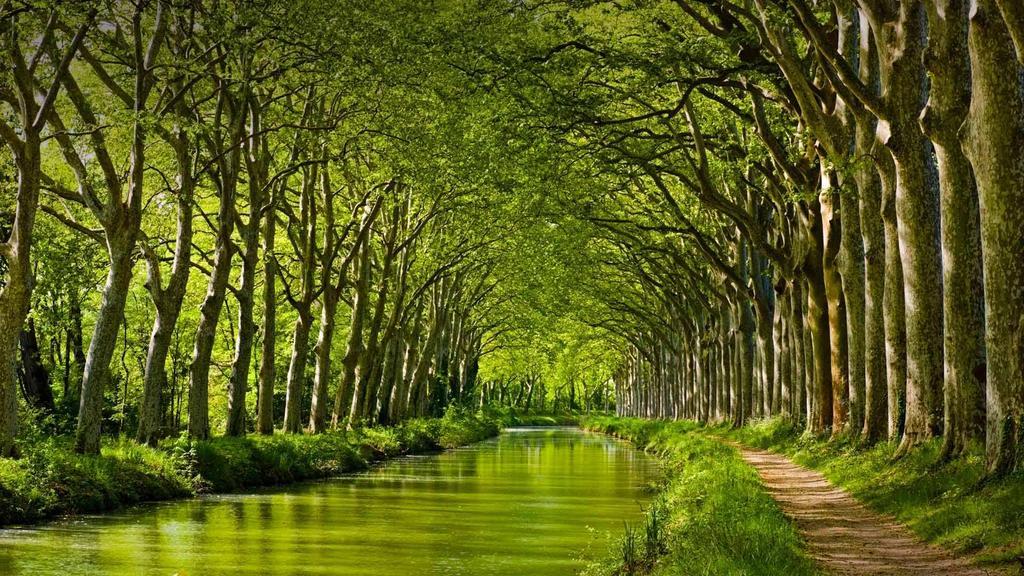 La Chartreuse Du Canal Du Midi Hébergement de vacances Toulouse